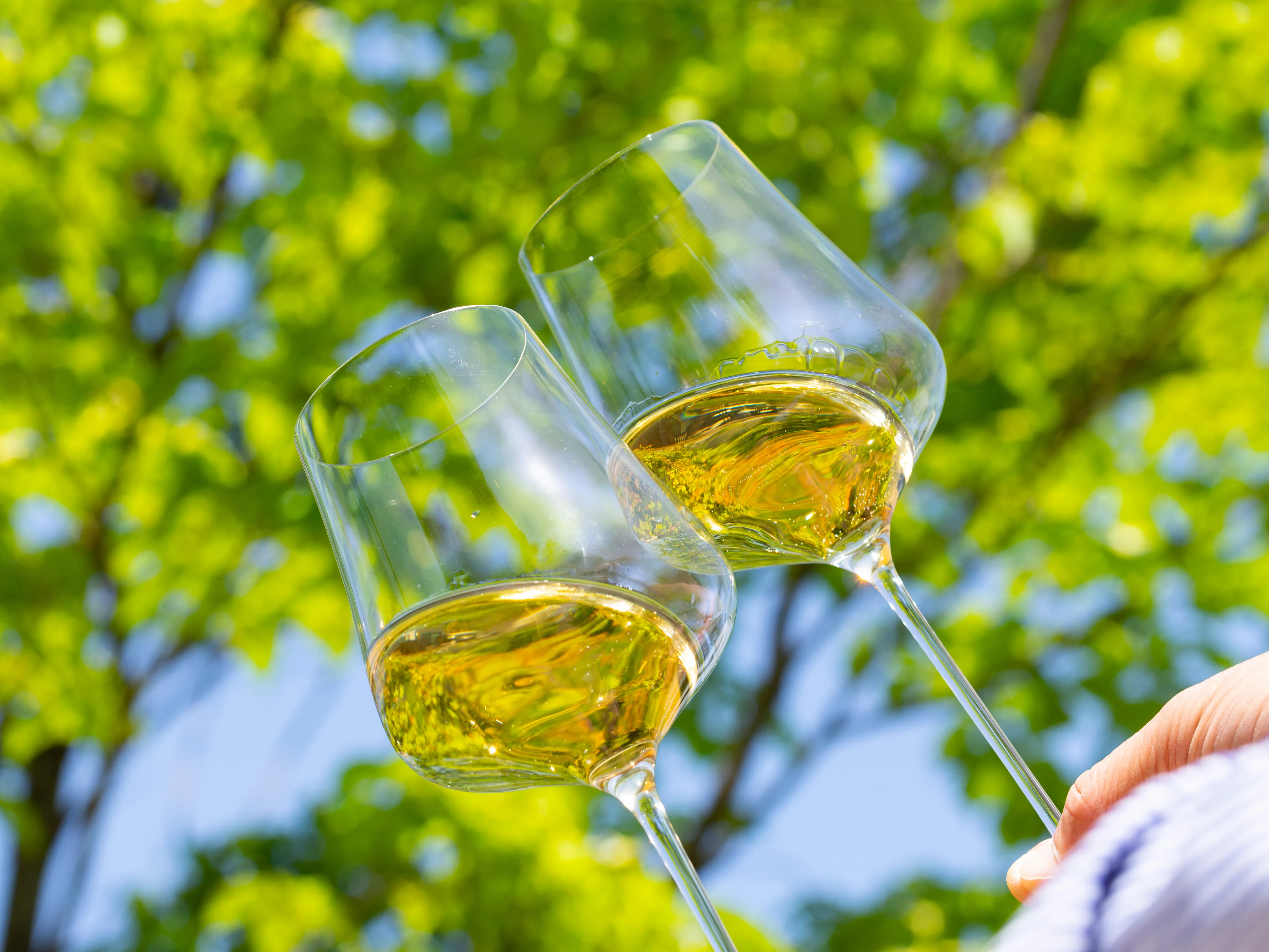 驚きの軽量設計